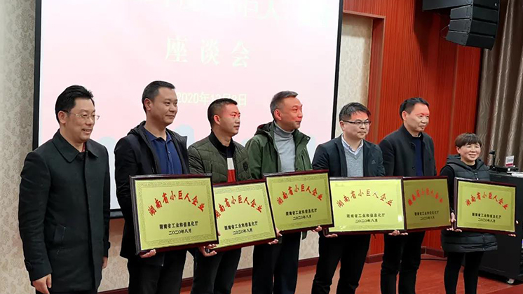 喜大普奔！炬神電子被評為湖南省“小巨人”企業